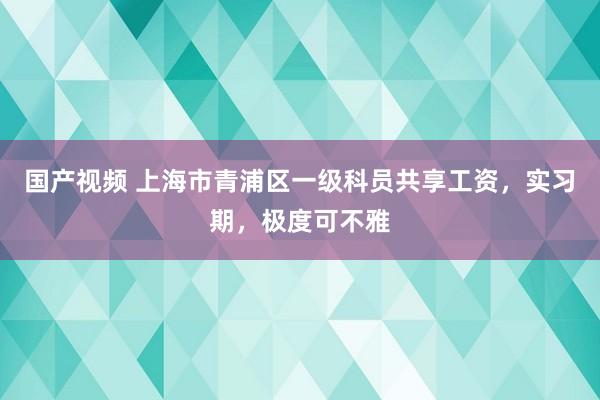 国产视频 上海市青浦区一级科员共享工资，实习期，极度可不雅