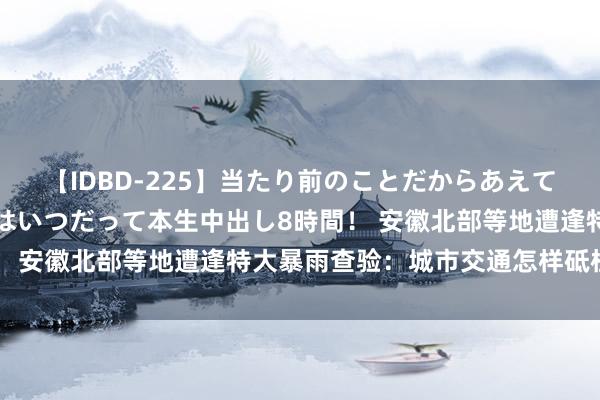 【IDBD-225】当たり前のことだからあえて言わなかったけど…IPはいつだって本生中出し8時間！ 安徽北部等地遭逢特大暴雨查验：城市交通怎样砥柱中流