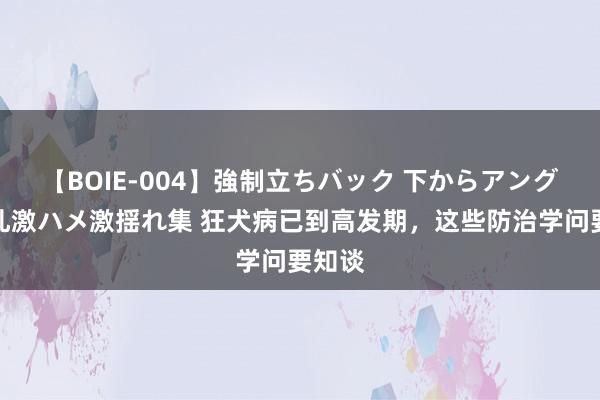 【BOIE-004】強制立ちバック 下からアングル巨乳激ハメ激揺れ集 狂犬病已到高发期，这些防治学问要知谈