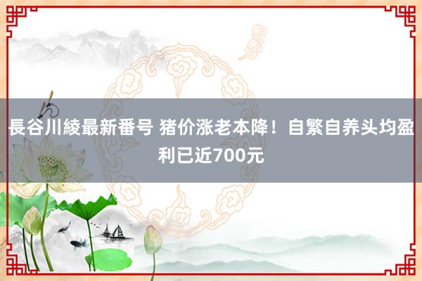 長谷川綾最新番号 猪价涨老本降！自繁自养头均盈利已近700元