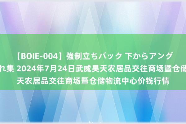 【BOIE-004】強制立ちバック 下からアングル巨乳激ハメ激揺れ集 2024年7月24日武威昊天农居品交往商场暨仓储物流中心价钱行情