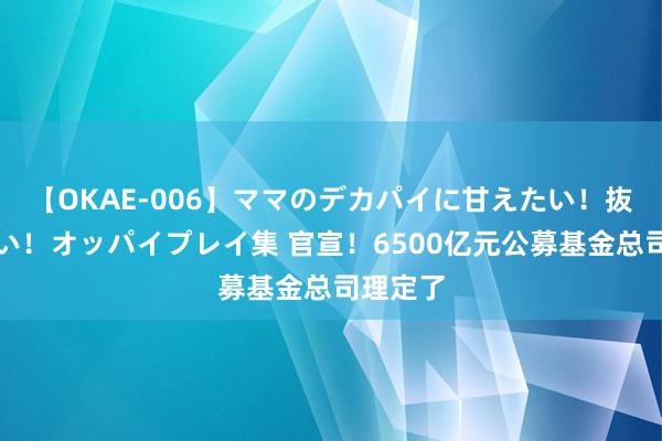 【OKAE-006】ママのデカパイに甘えたい！抜かれたい！オッパイプレイ集 官宣！6500亿元公募基金总司理定了