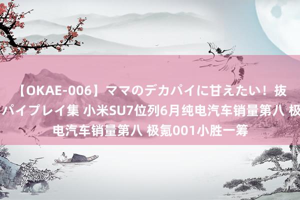 【OKAE-006】ママのデカパイに甘えたい！抜かれたい！オッパイプレイ集 小米SU7位列6月纯电汽车销量第八 极氪001小胜一筹