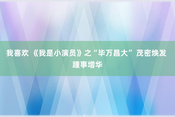 我喜欢 《我是小演员》之“毕万昌大” 茂密焕发 踵事增华