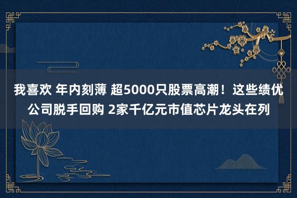 我喜欢 年内刻薄 超5000只股票高潮！这些绩优公司脱手回购 2家千亿元市值芯片龙头在列