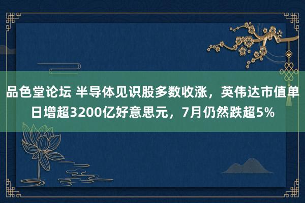 品色堂论坛 半导体见识股多数收涨，英伟达市值单日增超3200亿好意思元，7月仍然跌超5%