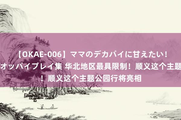 【OKAE-006】ママのデカパイに甘えたい！抜かれたい！オッパイプレイ集 华北地区最具限制！顺义这个主题公园行将亮相