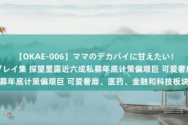 【OKAE-006】ママのデカパイに甘えたい！抜かれたい！オッパイプレイ集 探望显露近六成私募年底计策偏艰巨 可爱奢靡、医药、金融和科技板块