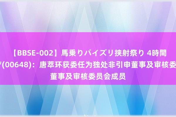 【BBSE-002】馬乗りパイズリ挟射祭り 4時間 京玖康疗(00648)：唐萃环获委任为独处非引申董事及审核委员会成员