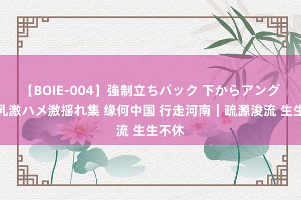 【BOIE-004】強制立ちバック 下からアングル巨乳激ハメ激揺れ集 缘何中国 行走河南｜疏源浚流 生生不休