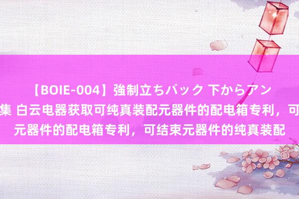 【BOIE-004】強制立ちバック 下からアングル巨乳激ハメ激揺れ集 白云电器获取可纯真装配元器件的配电箱专利，可结束元器件的纯真装配