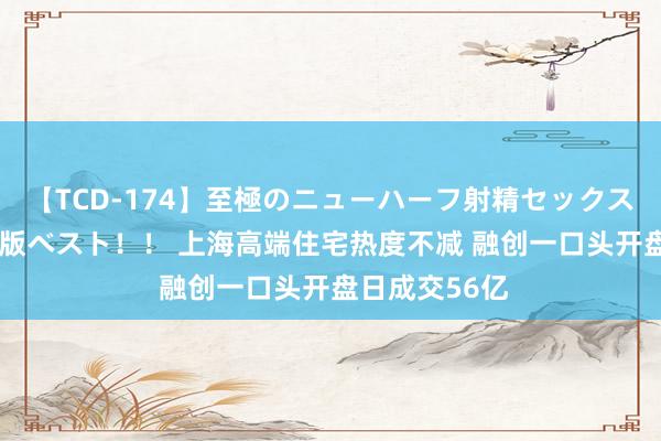 【TCD-174】至極のニューハーフ射精セックス16時間 特別版ベスト！！ 上海高端住宅热度不减 融创一口头开盘日成交56亿