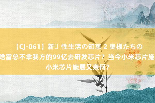 【CJ-061】新・性生活の知恵 2 奥様たちの性体験 为啥雷总不拿我方的99亿去研发芯片？当今小米芯片施展又奈何？