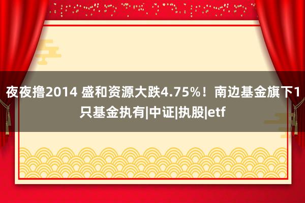 夜夜撸2014 盛和资源大跌4.75%！南边基金旗下1只基金执有|中证|执股|etf