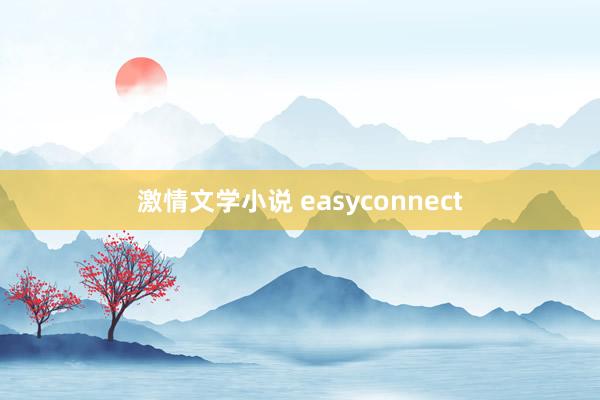 激情文学小说 easyconnect